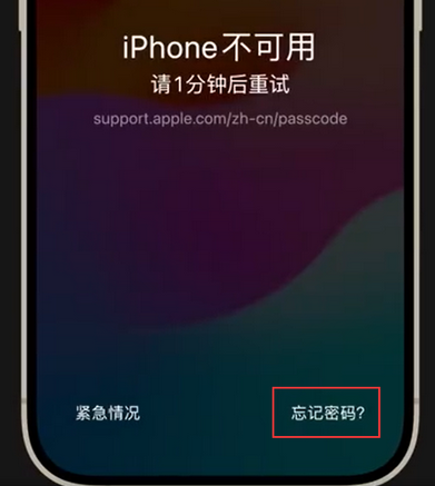 永川苹果手机密码维修分享iPhone忘记了刚设置的密码 