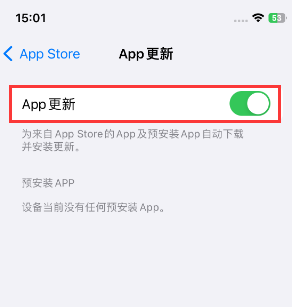 永川苹果15维修中心如何让iPhone15APP自动更新 永川苹果15维修中心如何让iPhone15APP自动更新