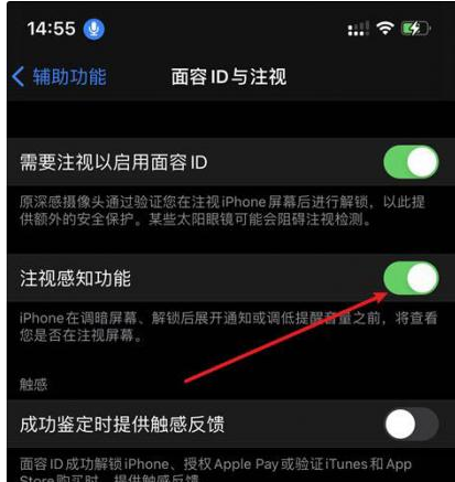 永川苹果14维修网点分享iPhone14注视感知功能有什么用 